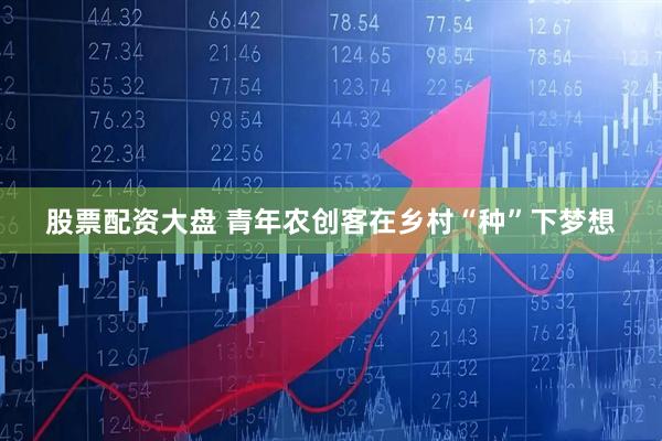 股票配资大盘 青年农创客在乡村“种”下梦想